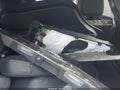 2019 Kia Sorento — photo 12 of 17 | VIN 5XYPH4A53KG502362