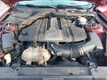 2019 Ford Mustang — photo 10 of 16 | VIN 1FA6P8CF2K5116526