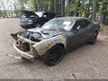 2022 Dodge Challenger — photo 6 of 15 | VIN 2C3CDZFJ2NH258324