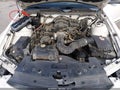 2009 Ford Mustang — photo 10 of 11 | VIN 1ZVHT80N695133718