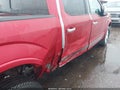 2020 Ford F-150 — photo 6 of 16 | VIN 1FTEW1E41LFA17588
