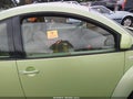 2000 Volkswagen Beetle — photo 12 of 14 | VIN 3VWBA21C5YM455801