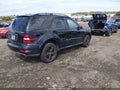 2009 Mercedes-Benz ML-Class — photo 4 of 16 | VIN 4JGBB86E99A443822