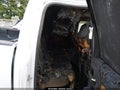 2014 GMC Sierra 1500 — photo 8 of 11 | VIN 1GTV2VEC1EZ199322
