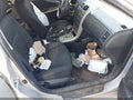 2010 Toyota Corolla — photo 5 of 10 | VIN 2T1BU4EE3AC444246