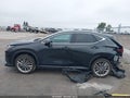 2025 Lexus NX 350h — photo 14 of 16 | VIN JTJHKCEZ5S2068692