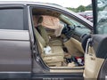 2009 Honda CR-V — photo 5 of 16 | VIN 5J6RE48789L010119