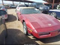 1989 Chevrolet Corvette — photo 1 of 11 | VIN 1G1YY3189K5111369