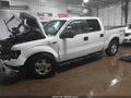 2013 Ford F-150 — photo 2 of 18 | VIN 1FTFW1EF0DFC20074