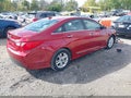 2014 Hyundai Sonata — photo 4 of 13 | VIN 5NPEB4AC9EH846959