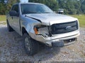 2013 Ford F-150 — photo 6 of 16 | VIN 1FTFX1EF3DFB41799