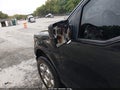 2010 Ford F-150 — photo 17 of 17 | VIN 1FTFW1EV5AFC61061