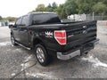 2010 Ford F-150 — photo 3 of 17 | VIN 1FTFW1EV5AFC61061