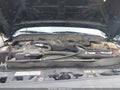2013 Ford F-350 — photo 10 of 15 | VIN 1FT8W3BT3DEB16764