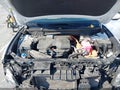 2024 Hyundai Tucson Hybrid — photo 10 of 17 | VIN KM8JECD17RU222305