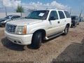 2004 Cadillac Escalade — photo 2 of 11 | VIN 1GYEK63N34R300458