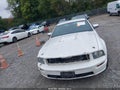 2006 Ford Mustang — photo 12 of 18 | VIN 1ZVFT82H165162618