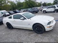2006 Ford Mustang — photo 13 of 18 | VIN 1ZVFT82H165162618