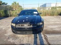 2013 Ford Mustang — photo 12 of 16 | VIN 1ZVBP8AM0D5256438