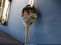 2010 Toyota Corolla — photo 11 of 14 | VIN 1NXBU4EE6AZ370089