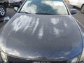 2007 Lexus GS 350 — photo 10 of 11 | VIN JTHCE96S170007270