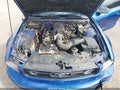 2006 Ford Mustang — photo 10 of 11 | VIN 1ZVHT80N765142939