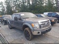 2013 Ford F-150 Lightning — photo 13 of 19 | VIN 1FTFW1EF8DKD01881
