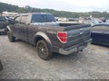 2013 Ford F-150 Lightning — photo 3 of 19 | VIN 1FTFW1EF8DKD01881