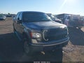 2010 Ford F-150 — photo 1 of 16 | VIN 1FTFW1EV2AFC86130