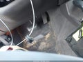 2000 Jeep Cherokee — photo 11 of 16 | VIN 1J4FF48S8YL241833