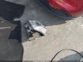 2020 Hyundai Santa Fe — photo 12 of 17 | VIN 5NMS3CAA4LH188213