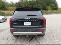 2022 Kia Telluride — photo 16 of 16 | VIN 5XYP64HC0NG253260