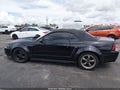 2000 Ford Mustang — photo 14 of 16 | VIN 1FAFP45X5YF255213