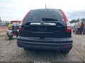 2010 Honda CR-V — photo 16 of 17 | VIN 5J6RE4H70AL078998