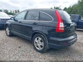 2010 Honda CR-V — photo 3 of 17 | VIN 5J6RE4H70AL078998
