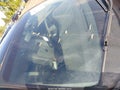2012 Ford Fusion — photo 14 of 15 | VIN 3FAHP0JA6CR188250