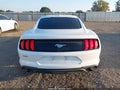 2020 Ford Mustang — photo 17 of 19 | VIN 1FA6P8TH0L5150144