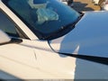 2020 Ford Mustang — photo 18 of 19 | VIN 1FA6P8TH0L5150144