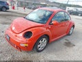 2003 Volkswagen Beetle — photo 2 of 17 | VIN 3VWCK21C63M412272