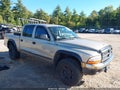 2004 Dodge Dakota — photo 1 of 17 | VIN 1D7HG48K64S596419