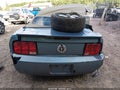 2007 Ford Mustang — photo 17 of 17 | VIN 1ZVFT84NX75324251