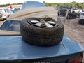 2007 Ford Mustang — photo 12 of 17 | VIN 1ZVFT84NX75324251