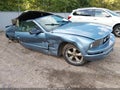 2007 Ford Mustang — photo 1 of 17 | VIN 1ZVFT84NX75324251