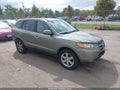2007 Hyundai Santa Fe — photo 1 of 13 | VIN 5NMSH73E47H059256