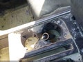 2026 Ford F-150 — photo 11 of 17 | VIN 1FTFW3L55TFA52811