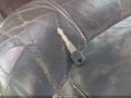 2000 Chevrolet Silverado — photo 11 of 16 | VIN 1GCEK19T6YE397117