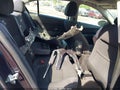 2015 Chevrolet Cruze — photo 8 of 12 | VIN 1G1PC5SB9F7191010