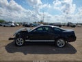 2007 Ford Mustang — photo 14 of 16 | VIN 1ZVFT80N075229820