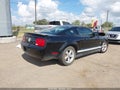 2007 Ford Mustang — photo 4 of 16 | VIN 1ZVFT80N075229820