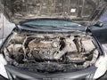 2011 Toyota Corolla — photo 10 of 11 | VIN JTDBU4EE1BJ088580